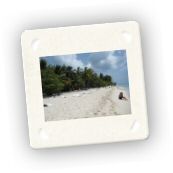 Saona (8).jpg